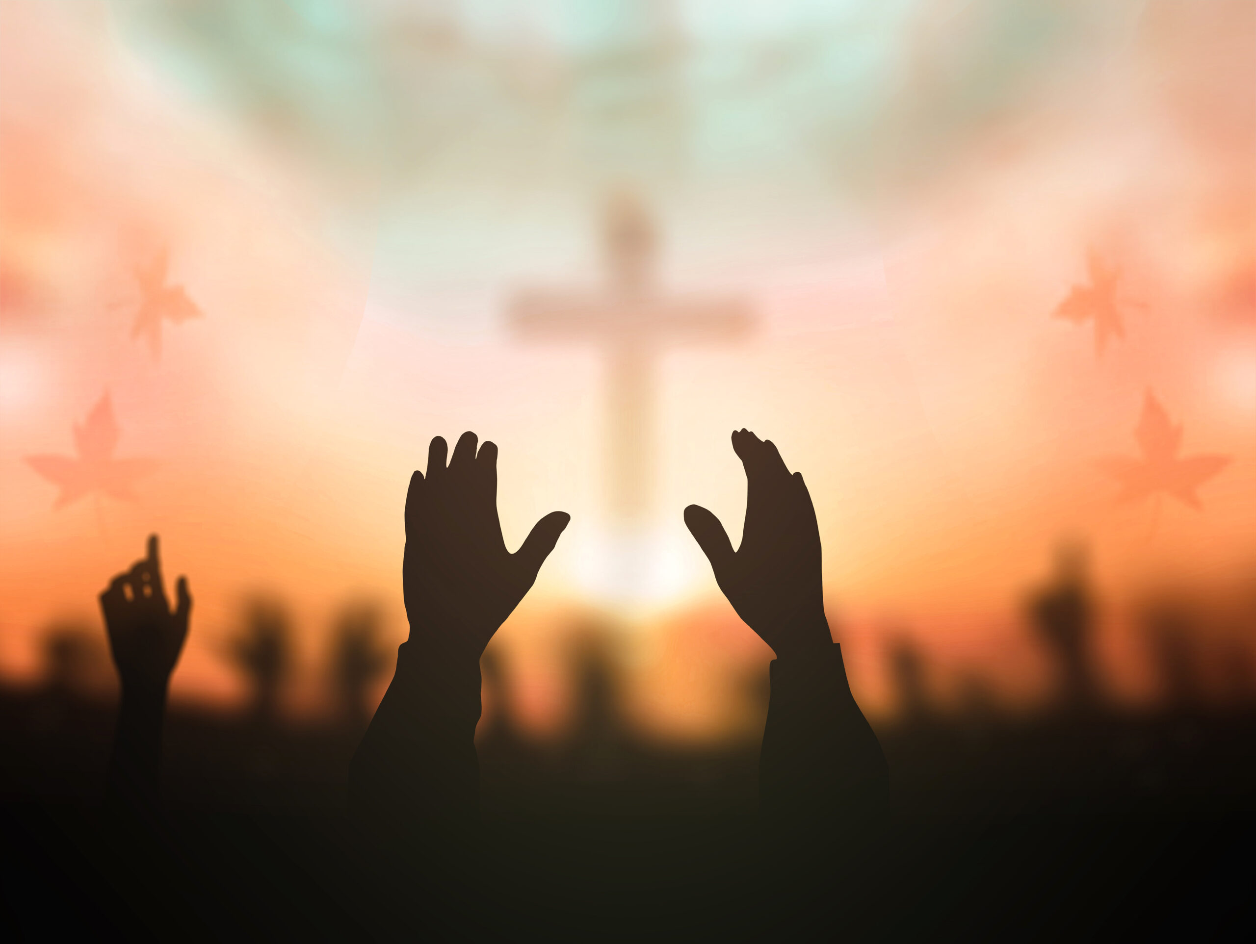 Hinsdale Fil-Am Seventh-day Adventist Church Worship Service